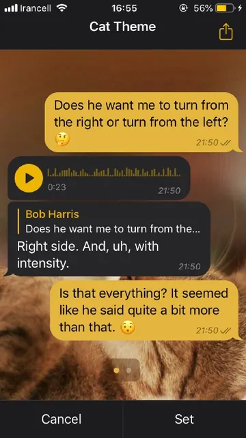 Cat iPhone theme — creator preview